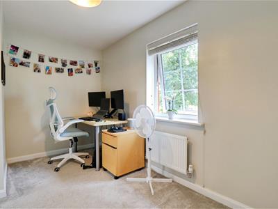 Picture 10